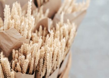 Canada’s Crop Production Marred by Drought, Brazil’s Next Crop Outlook Improves, as Transportation Costs Rise • Farm Policy News