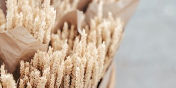 Canada’s Crop Production Marred by Drought, Brazil’s Next Crop Outlook Improves, as Transportation Costs Rise • Farm Policy News