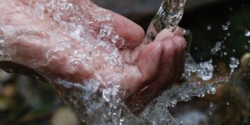 Expanding Organic Farming Program, Entertainment Based Joint Venture in Play & Patented Water Purification