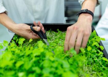 Improving the World Through Plant Science Innovation