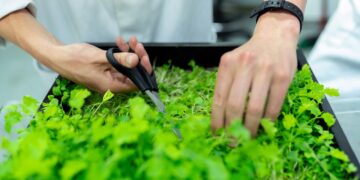 Improving the World Through Plant Science Innovation