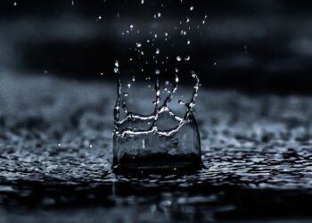 A Weather Company Helps Banks Measure Financial Risks…