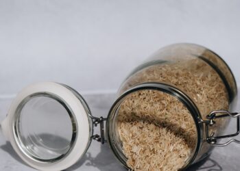 Impacts of Early Rice Agriculture on Tropical Forests in Southeastern Asia