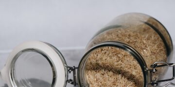 Impacts of Early Rice Agriculture on Tropical Forests in Southeastern Asia