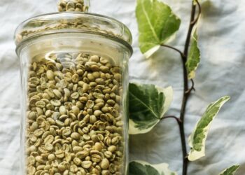 GMO Beans and Beyond: How Does it Work and Why Does it Matter?