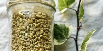 GMO Beans and Beyond: How Does it Work and Why Does it Matter?