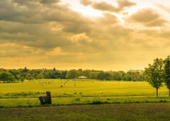 Naturcycle Releases Updated Specifications for their Standard Green Roof Media Products