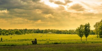 Naturcycle Releases Updated Specifications for their Standard Green Roof Media Products