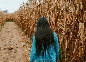 Arizona Farms Turn to Petting Zoos, Corn Mazes, Concerts and Festivals to Survive