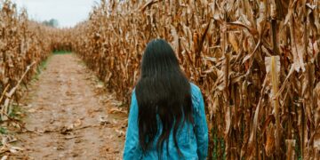 Arizona Farms Turn to Petting Zoos, Corn Mazes, Concerts and Festivals to Survive