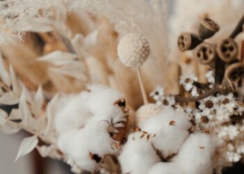 Waterlogging Ruins Cotton, Bajra on 80K Acres in Rewari & Mahendragarh