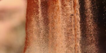 Food-Tech Startup EVERY Launches Lab-Grown, Animal-Free Egg Protein