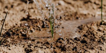 Healthy Soil, Healthy Farms