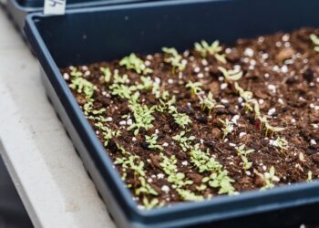 Hundred Acre Indoor Urban Farm Invites Community to Grow with Them