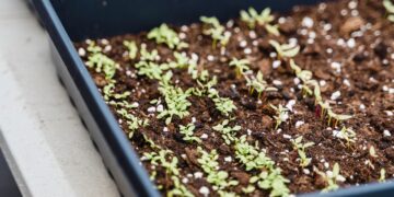 Hundred Acre Indoor Urban Farm Invites Community to Grow with Them