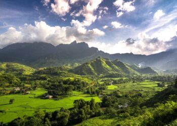 Agriculture Sector in Vietnam Ready to Resume Production