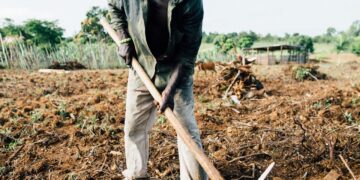 Government Leveraging On E-Agriculture To Empower Farmers