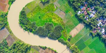 Spotlight On Agriculture, Livestock Sectors