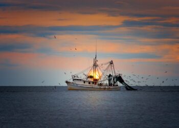 Aquaculture Is Part Of Solution To Declining Fisheries