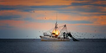 Aquaculture Is Part Of Solution To Declining Fisheries