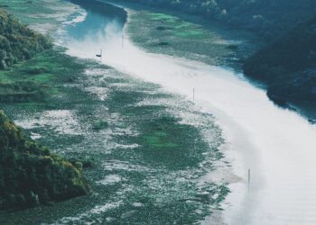 More Rain Forecast For B.C., Canadians Step Up To Help