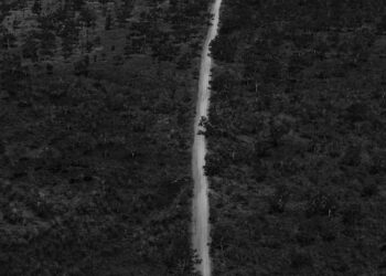 Farmers Will Change If Politicians Let Them