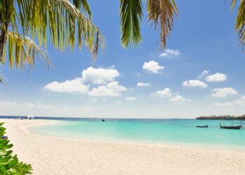 How Do You Grow Food Sustainably in the Caribbean?