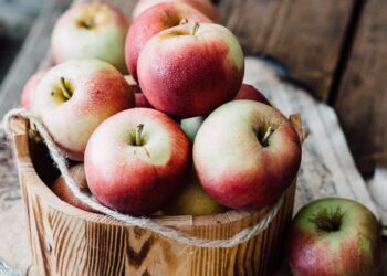 5 Reasons Why The GMO Debate Is Over