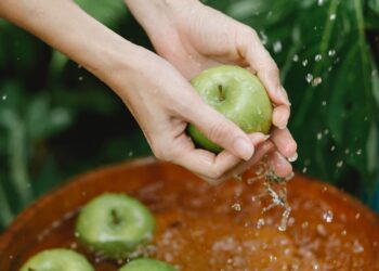 Universities Using GrowPods and Controlled Environment Agriculture to Study Healing Properties of Clean Foods