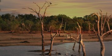 Drought Has Big Impacts On California Agriculture