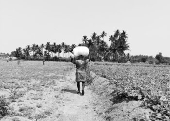 Why Farming Matters  – Truth, For Its Own Sake.