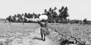 Why Farming Matters  – Truth, For Its Own Sake.