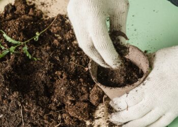 Farmers Ask US Justice Department To Investigate Fertilizer Price Spikes