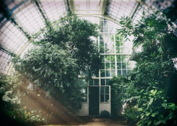 High-tech Greenhouses In Shouguang Are Developing With Modern Digital Agriculture