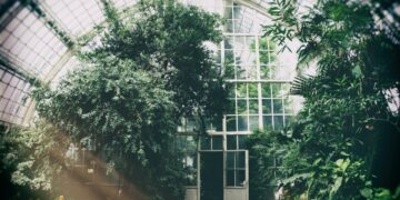 High-tech Greenhouses In Shouguang Are Developing With Modern Digital Agriculture