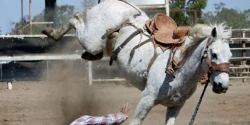 Roundups And Rodeos Bring Wins West River From PRCA Awards