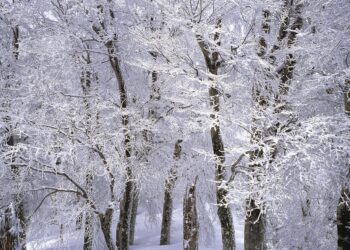 Drought Is Up, Snow Pack Is Down – What Will This Winter Bring?