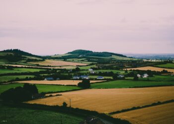 High Commodity Prices Sees Fewer Farms Put Up For Sale