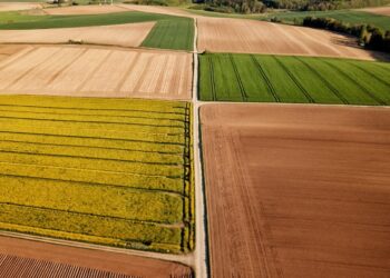 4 Things You Probably Didn’t Know About Agriculture