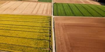 4 Things You Probably Didn’t Know About Agriculture