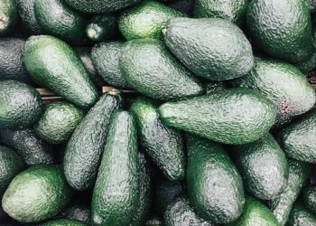 California Drought Dried Up Avocado Supply In 2021