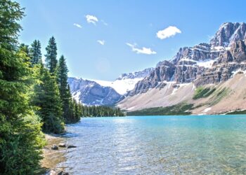 Options For Reforming Agricultural Subsidies From Health, Climate, And Economic Perspectives