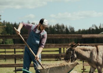 Impossible dream? Program Opens The Door To Young Would-Be Farmers