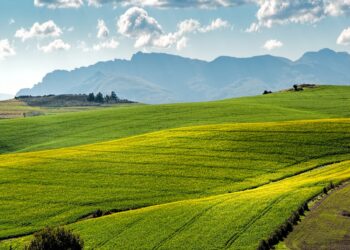 How Farmers Are Reducing Inputs Without Losing Yield