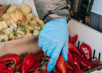 Food Security Must Remain Central Issue For G20