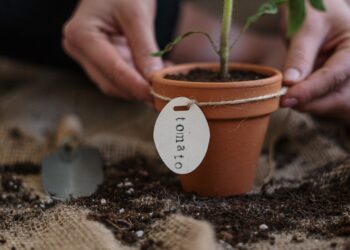 Local Schools Receive Grants For Garden Projects