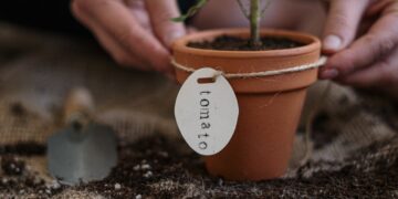 Local Schools Receive Grants For Garden Projects