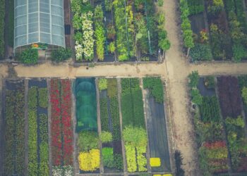 Himalaya Technologies Enters Agtech Market With Investment