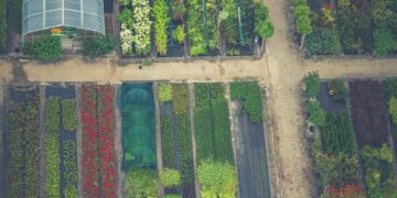 Himalaya Technologies Enters Agtech Market With Investment