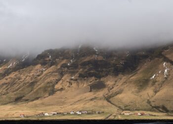 Farver Farms Grows In The ‘Middle Of Nowhere’ With Their Wheat And Lentils